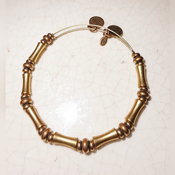 Alex and Ani gold tone bamboo bracelet bangle bar rafaelia - Picture 3 of 4